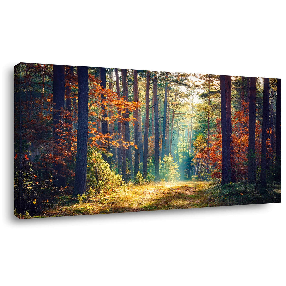 Autumn Forest Large Stretched Canvas Wall Art Bedroom Home Decoration, Mordern Morning Sunlight Wood Print Picture