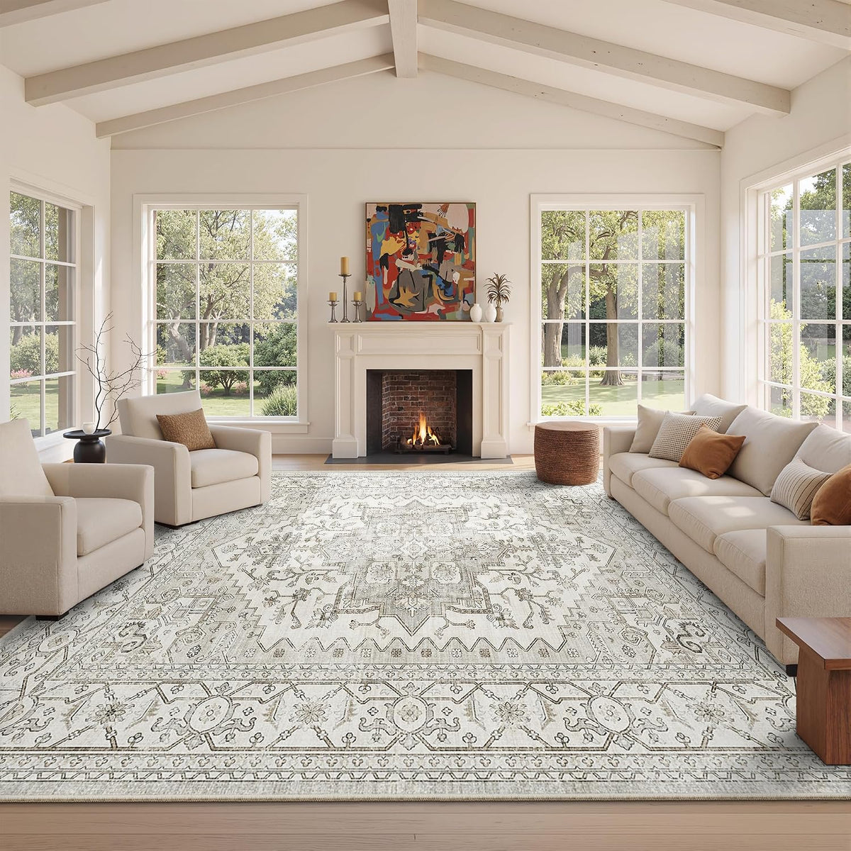 Living Room Area Rugs, Large Neutral Beige Carpet Vintage Soft Rugs