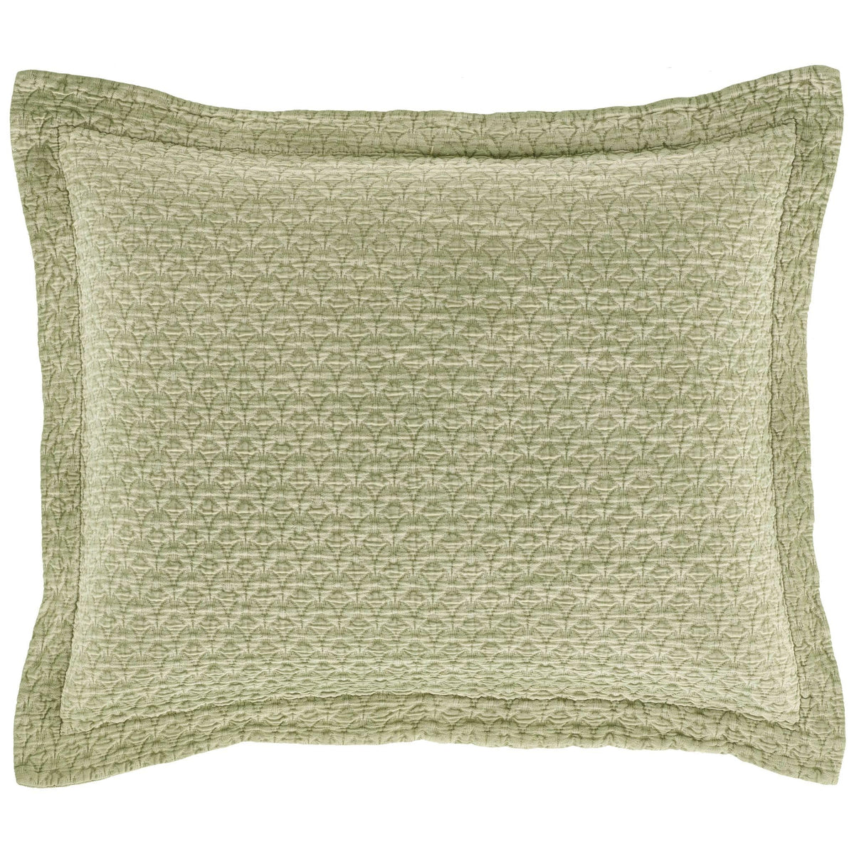 Hawley Sage Solid Cotton Matelasse Sham, Standard
