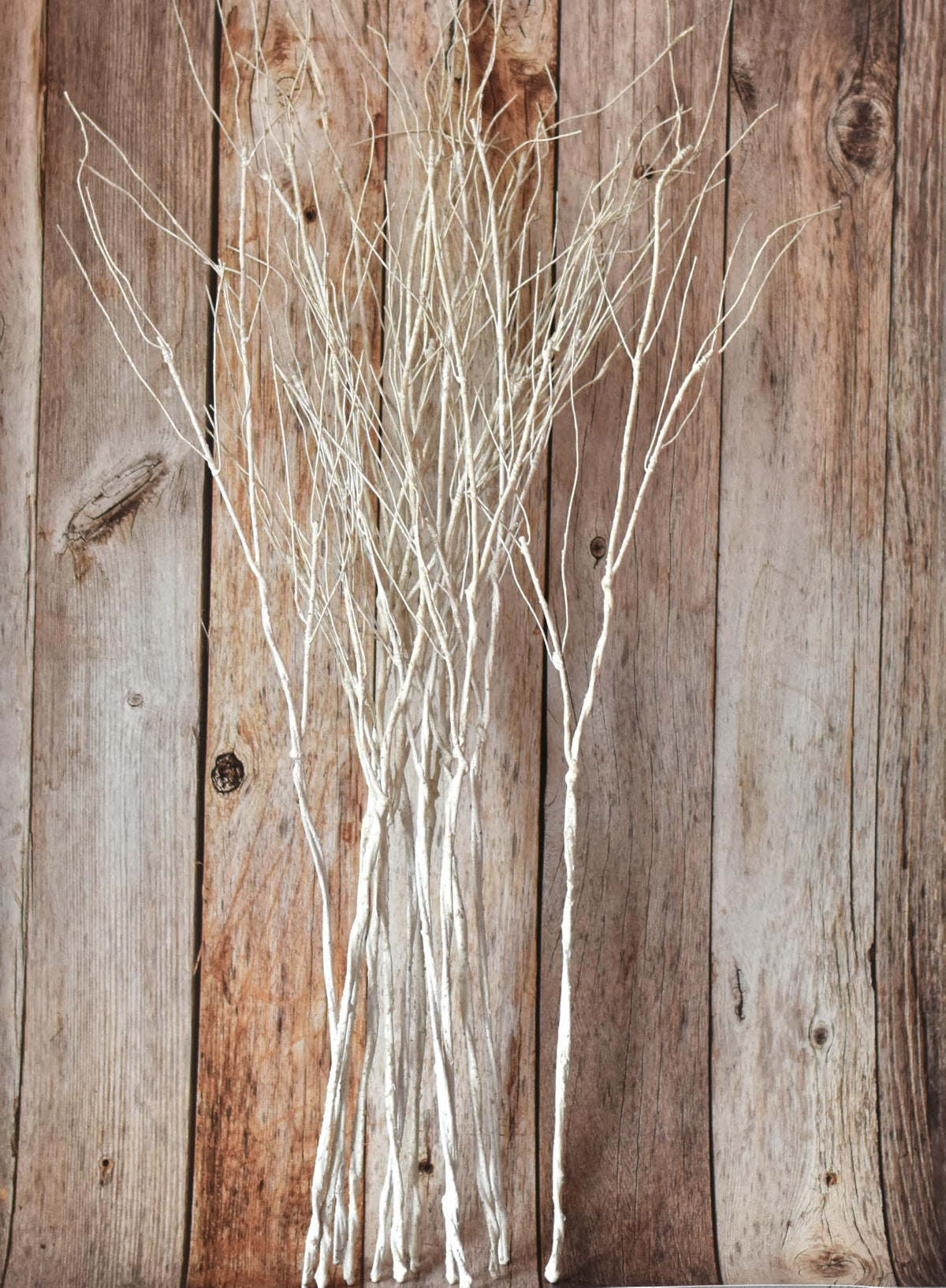 10PCS Artificial White Birch Branches, Bendable Winter Twigs Stems