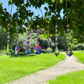 7 Pcs AB Colored Chandelier Crystals Sun Catcher Prisms, Suncatchers for Windows Hanging