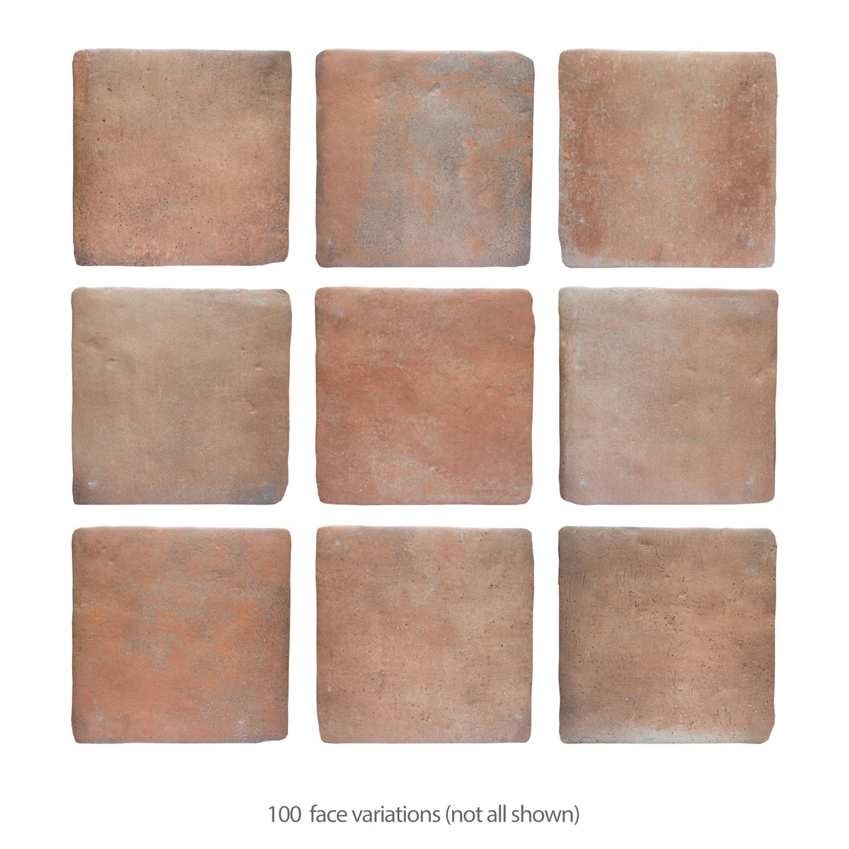 Benisa Cotto 11-7/8" x 11-7/8" Porcelain Floor and Wall Tile