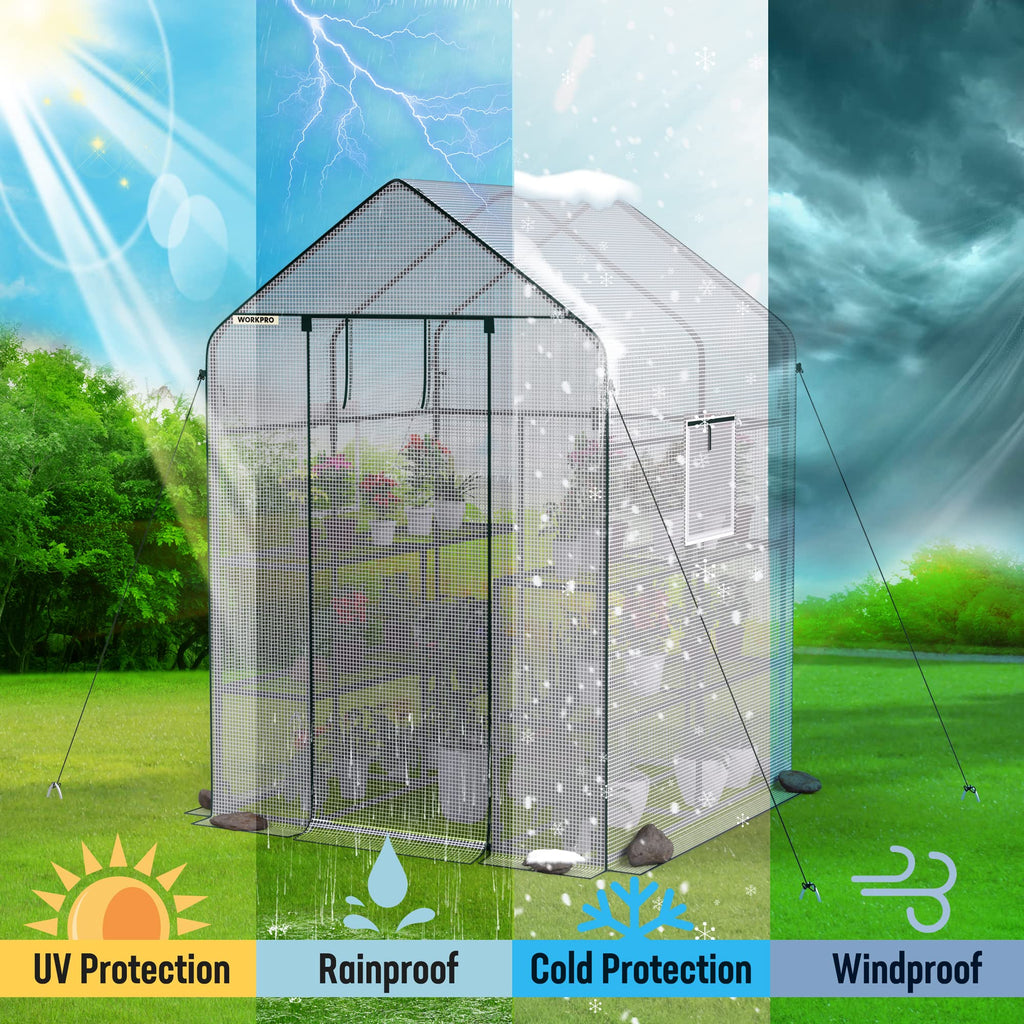 Greenhouse, Heavy Duty Walk-in Greenhouse (56" x 56" x 77")