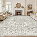 Living Room Area Rugs, Large Neutral Beige Carpet Vintage Soft Rugs