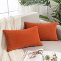 Lumbar Pillow Decorative Rectangle Throw Pillow Covers 12"x20" Inch Set of 2, Super Soft Chenille Pillowcase Bedroom
