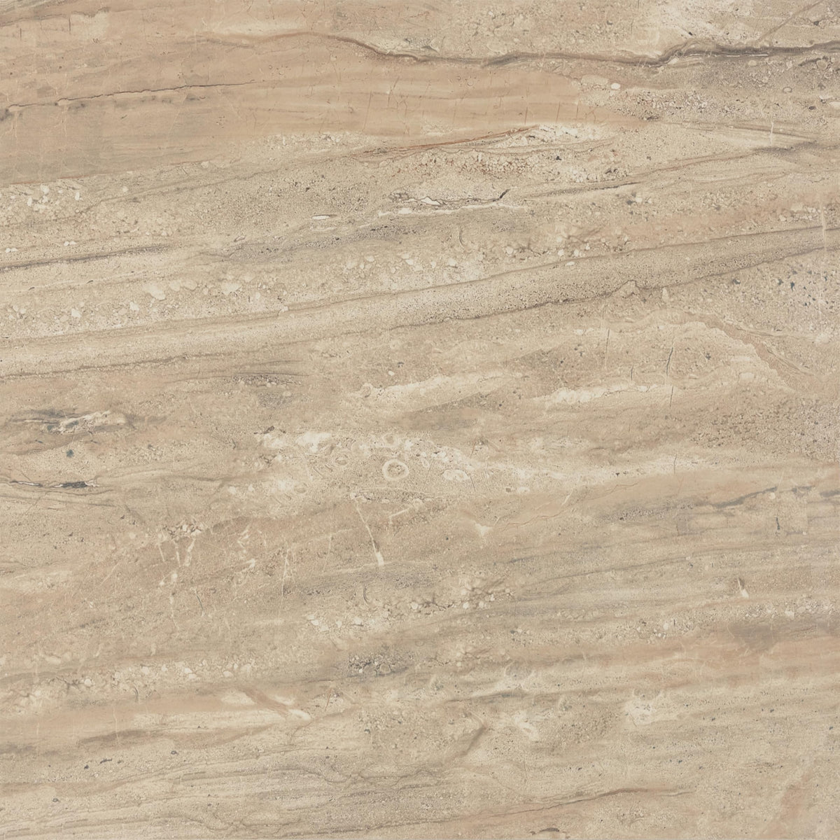 Florentine 24" X 24" Glazed Porcelain Floor Tile in Nociolla (4 PC Per Carton) (15.2 SQFT Per Carton)