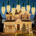 C9 Christmas String Lights, 100FT LED Warm White Outdoor Lights