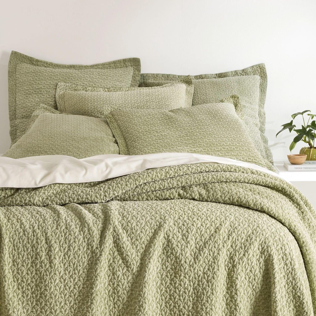 Hawley Sage Solid Cotton Matelasse Sham, Standard