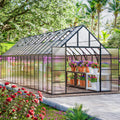 32x10x10 FT Extra Large Greenhouse for Outdoor with Transparent Roof Vents Swing Door, Easy Assembly Heavy Duty