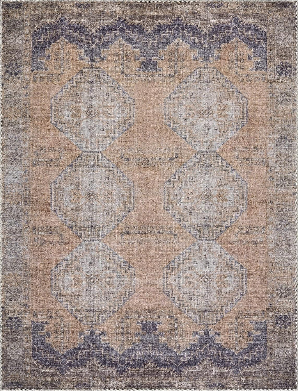 Carrabelle Machine Washable Area Rug - Medallion Geometric Border Distressed Faded - Traditional Oriental