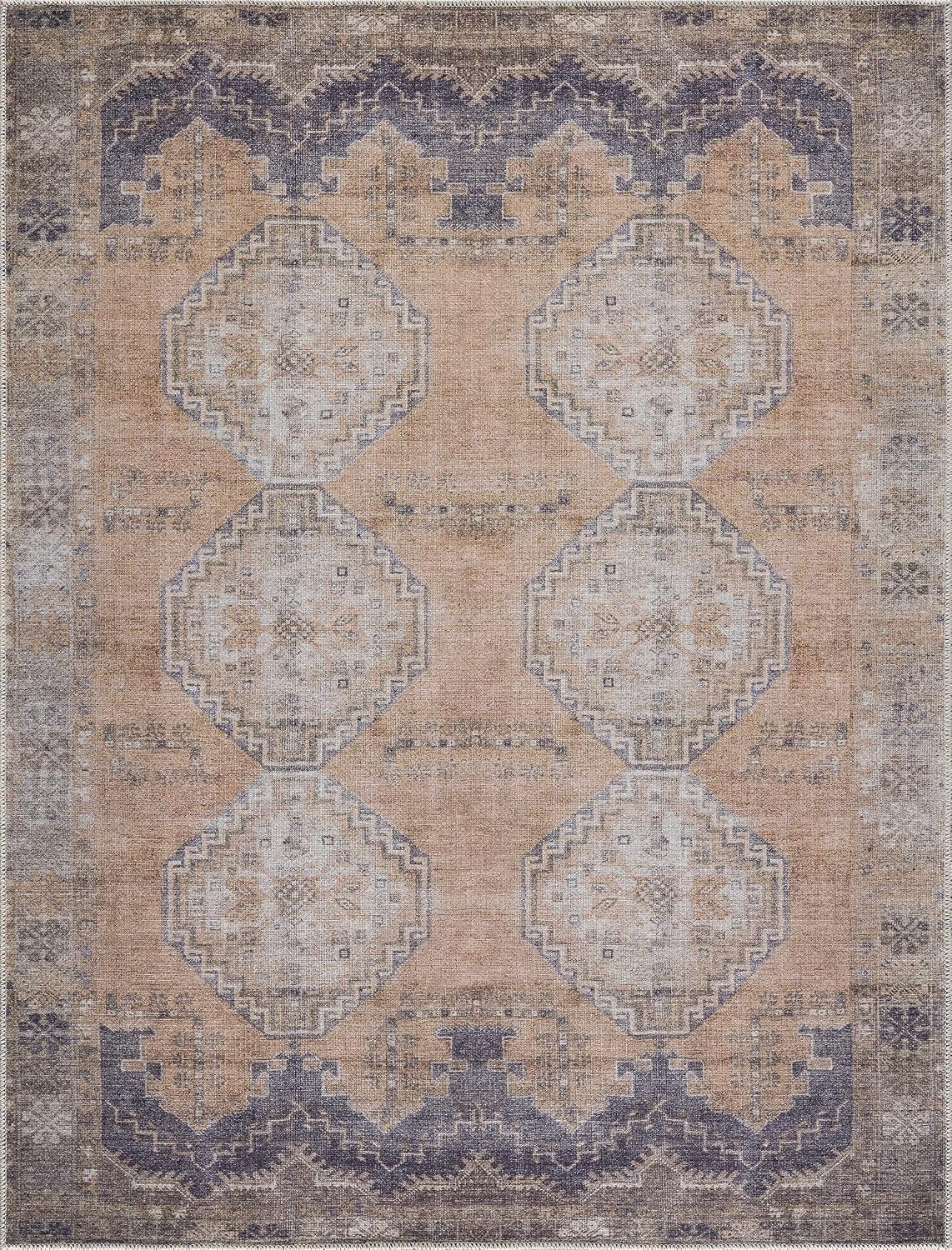 Carrabelle Machine Washable Area Rug - Medallion Geometric Border Distressed Faded - Traditional Oriental
