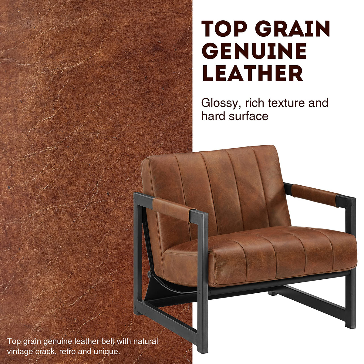 Genuine Leather Accent Chair, Set of 2, Mid Century Modern Arm Chairs, Living Room Sofa Chairs with Black Metal