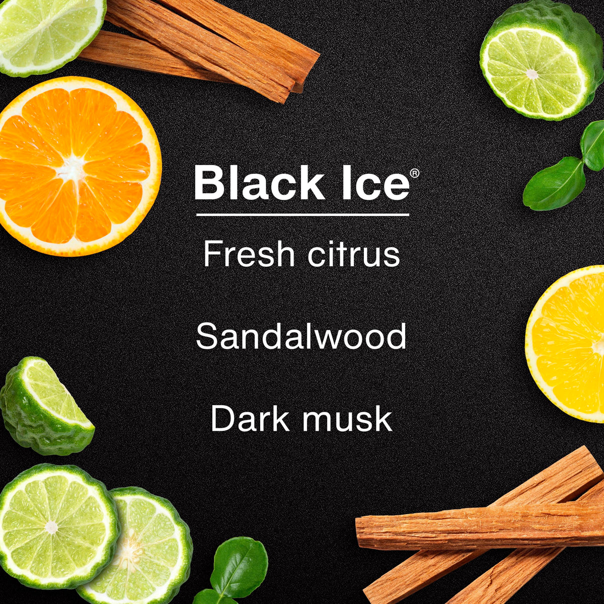 Car Air Freshener | Hanging Tree Provides Long Lasting Scent for Auto and Home | 24 Air Fresheners |Black Ice