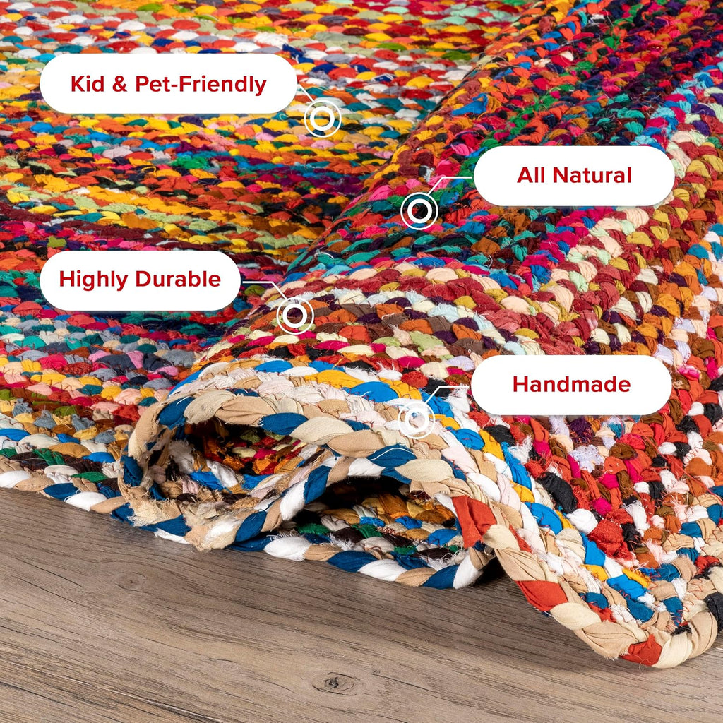 Tammara Multicolor Ombre Braided Area Rug, Oval