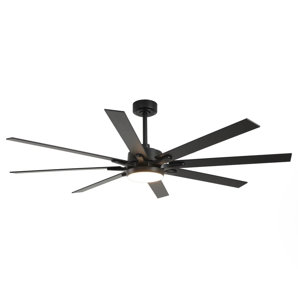 65 Inch Teresa Modern Double-sided Blades Ceiling Fan with Remote Control and LED Light